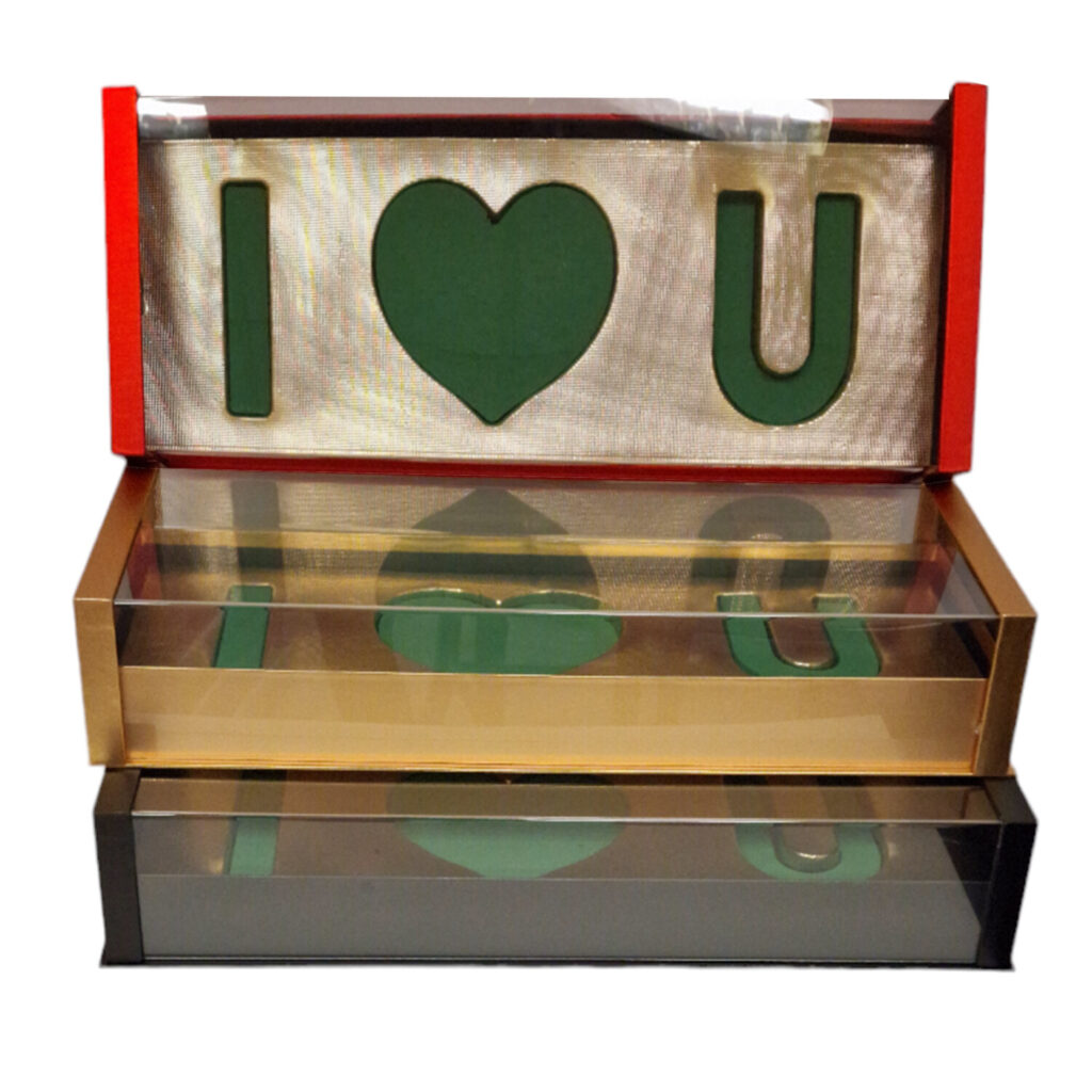 Κουτί plexiglass I love You με Moss