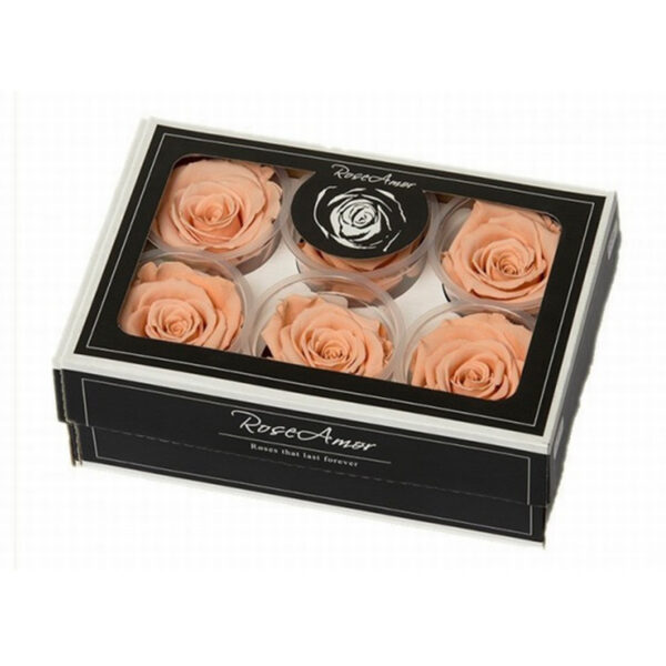 Τριαντάφυλλα Forever Roses Σομόν L Plus 6 box