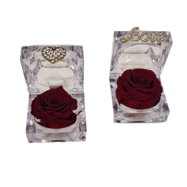 Τριαντάφυλλο Forever Roses σε κουτάκι plexiglass
