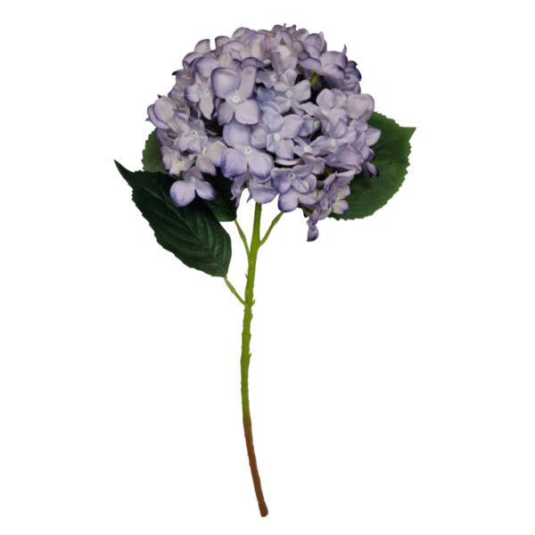 Κλαδί Ορτανσίας 55cm