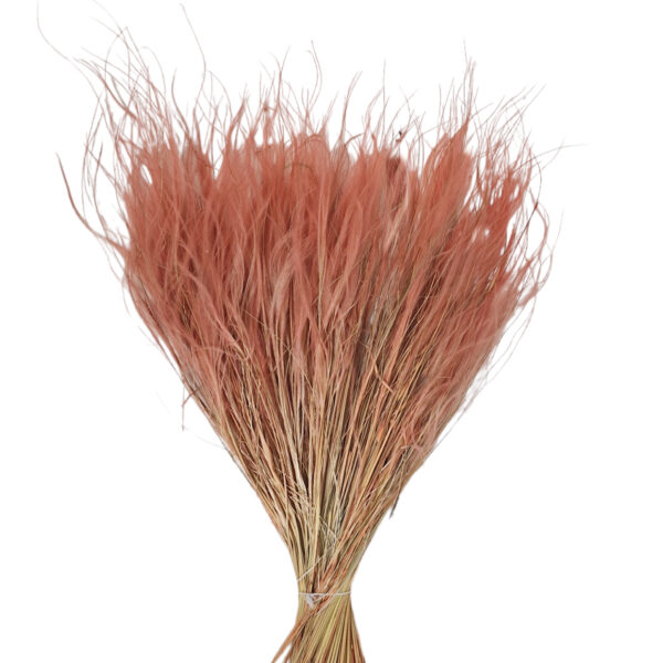 Stipa Σάπιο Μήλο