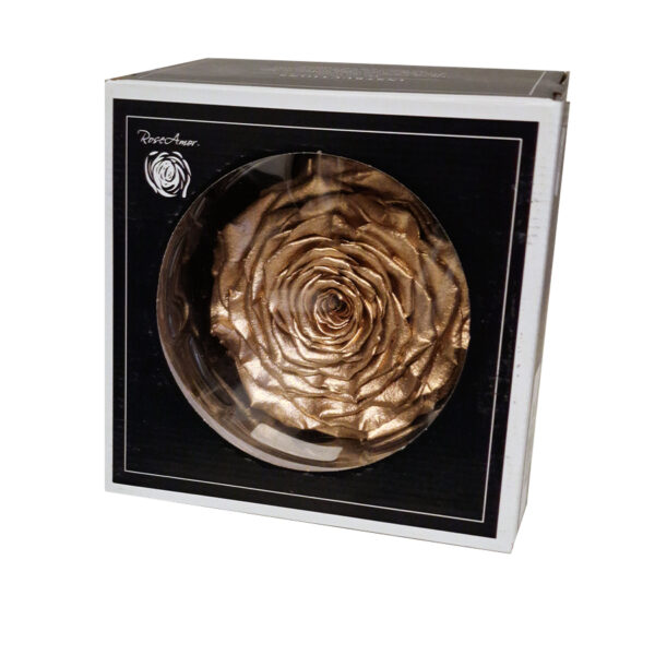 Τριαντάφυλλο Forever Roses Χρυσό XXL