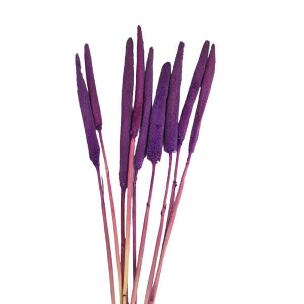 Babala 9 Pack Μωβ 75cm