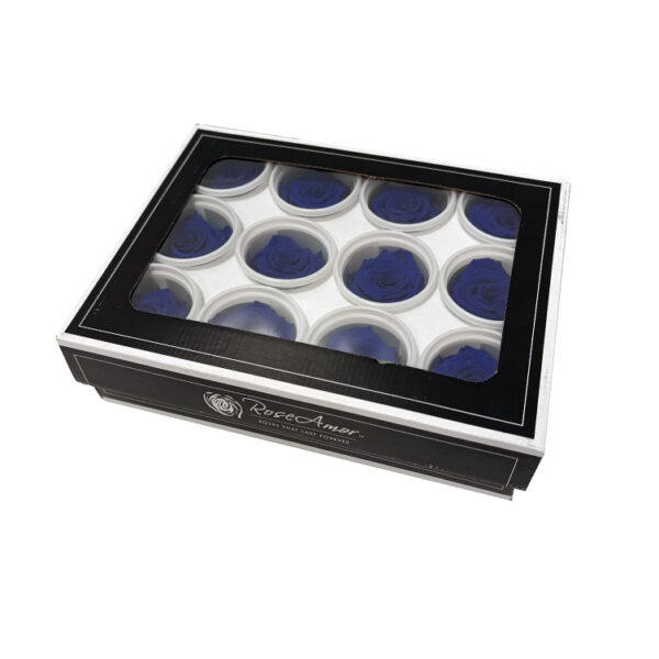 Τριαντάφυλλα Forever Roses Μπλε Warmi 12 box