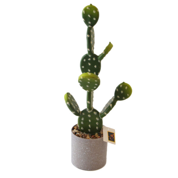 Κάκτος Τεχνητός Opuntia