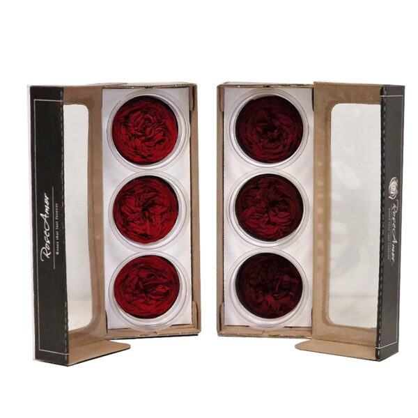 Τριαντάφυλλο Forever Dusty Roses 3 Box