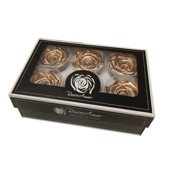 Τριαντάφυλλα Forever Roses Χρυσό L Plus 6 box