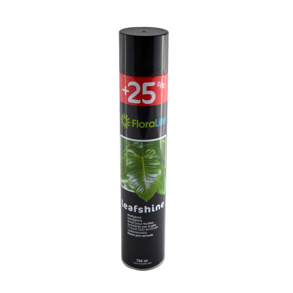 Σπρέυ Γυαλιστικό 750ml