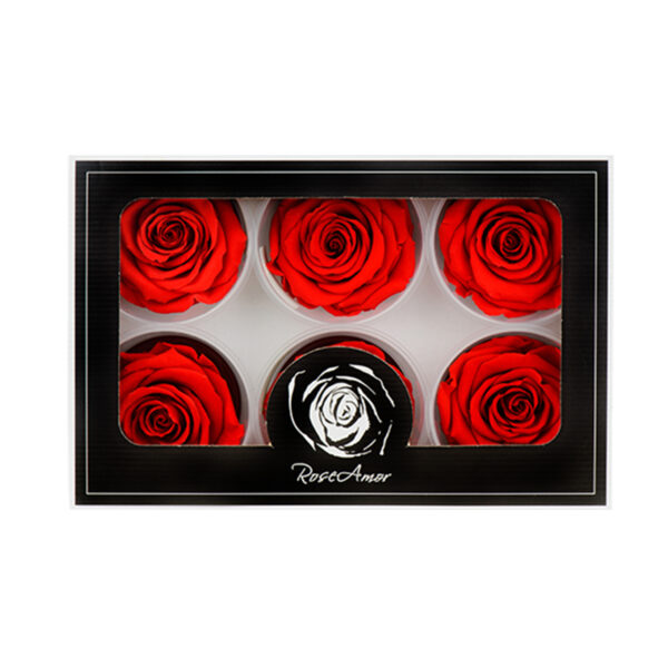Τριαντάφυλλα Forever Roses Κόκκινο L Plus 6 box