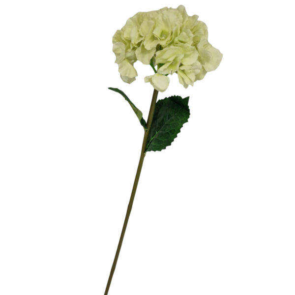 Κλαδί Ορτανσίας 78cm