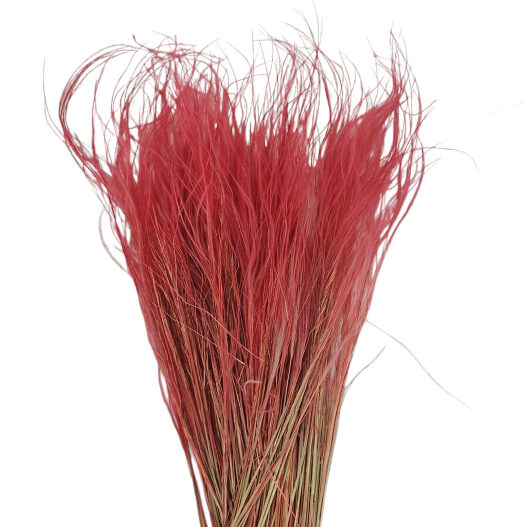 Stipa Φούξια