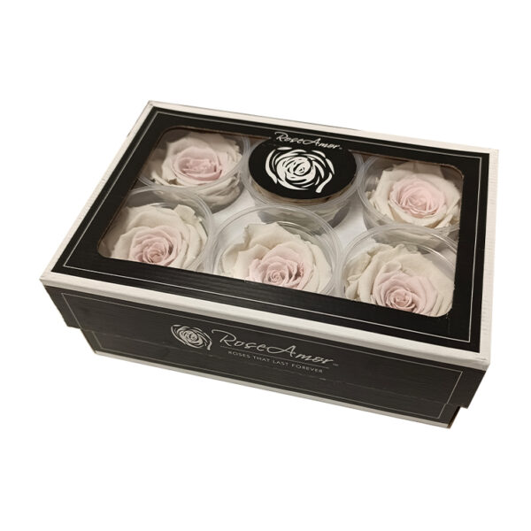 Τριαντάφυλλα Forever Roses Δίχρωμα XL 6 box