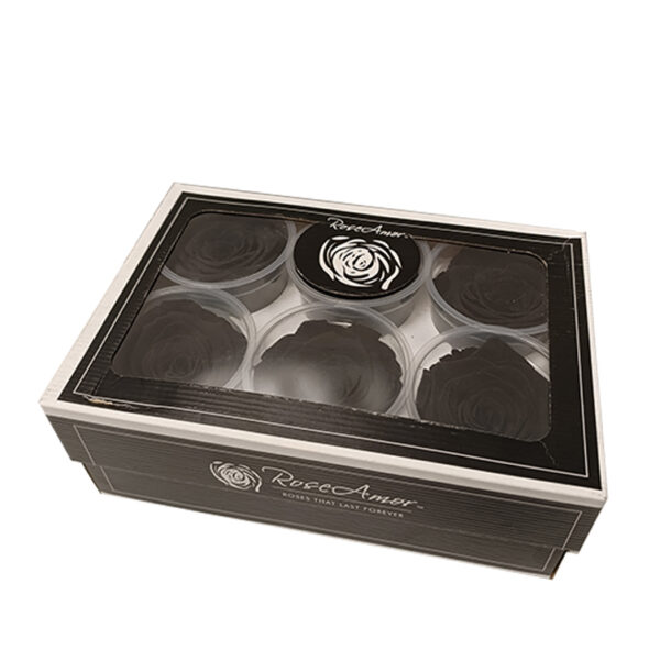 Τριαντάφυλλα Forever Roses Peach XL 6 box