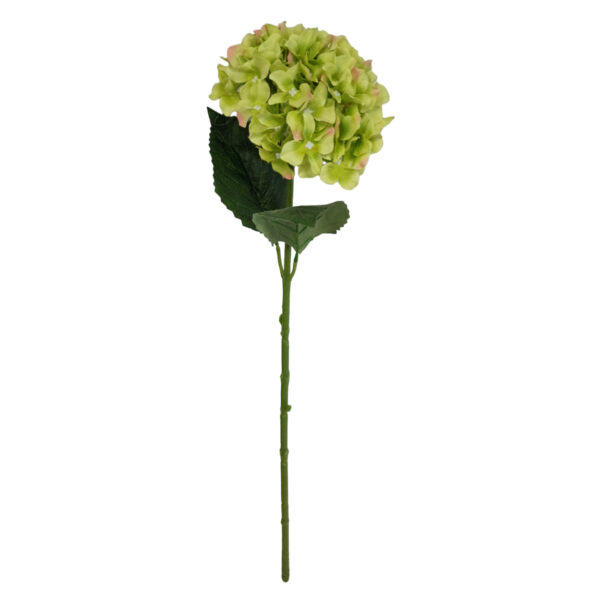 Κλαδί Ορτανσίας 66cm