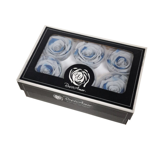 Τριαντάφυλλα Forever Roses Δίχρωμο Γαλάζιο L Plus 6 box