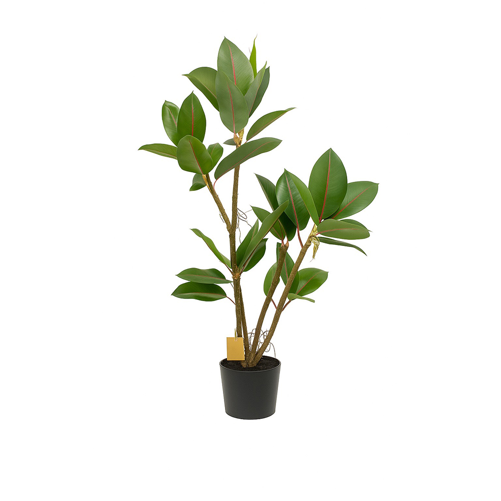 Δέντρο Φίκος 95cm