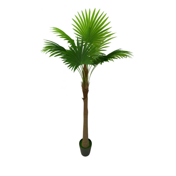 Δέντρο Φοίνικας 230cm