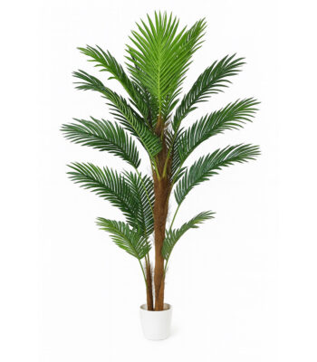 Δέντρο Φοίνικας 200cm