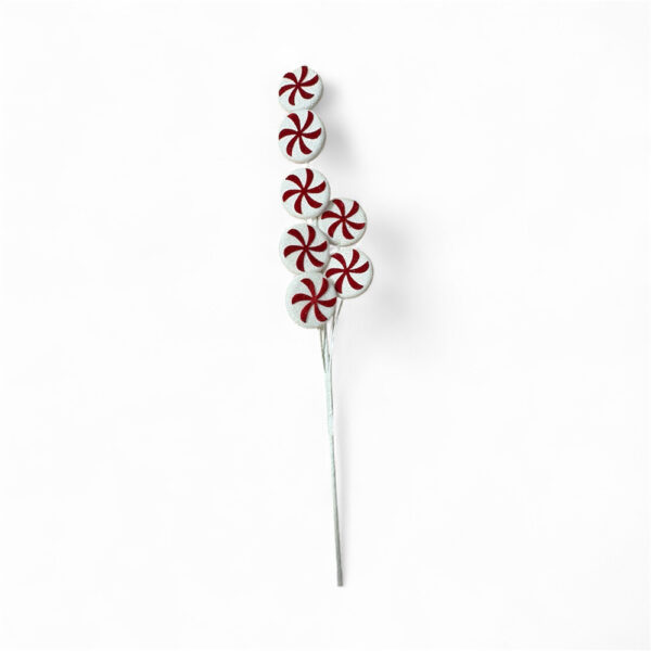 Κλαδί Candy 61cm
