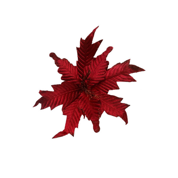 Λουλούδι Αλεξανδρινό Βυσσινί