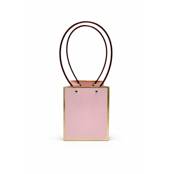 Τσάντα Ροζ με χρυσό πλαίσιο 10 Pack