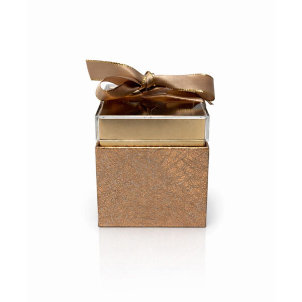 Κουτάκι Plexiglass Σαγρέ με Φιόγκο