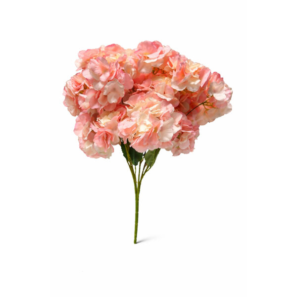 Μπουκέτο Ορτανσία 15 Κεφάλια ΓΙΓΑΣ!!