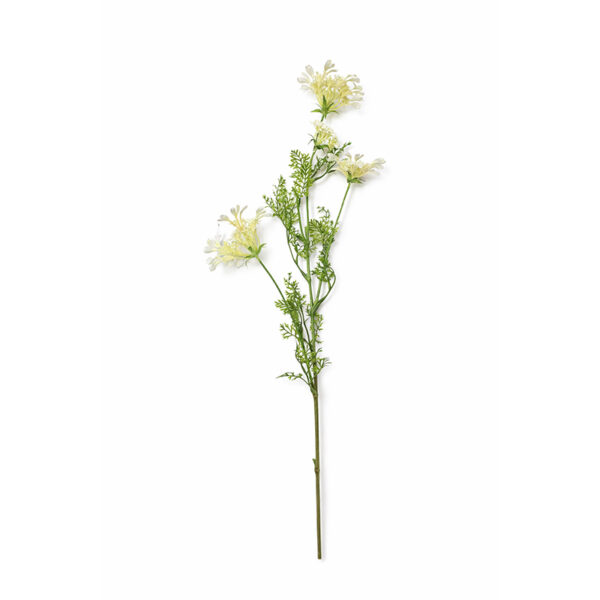 Κλαδί Άγριο 96cm