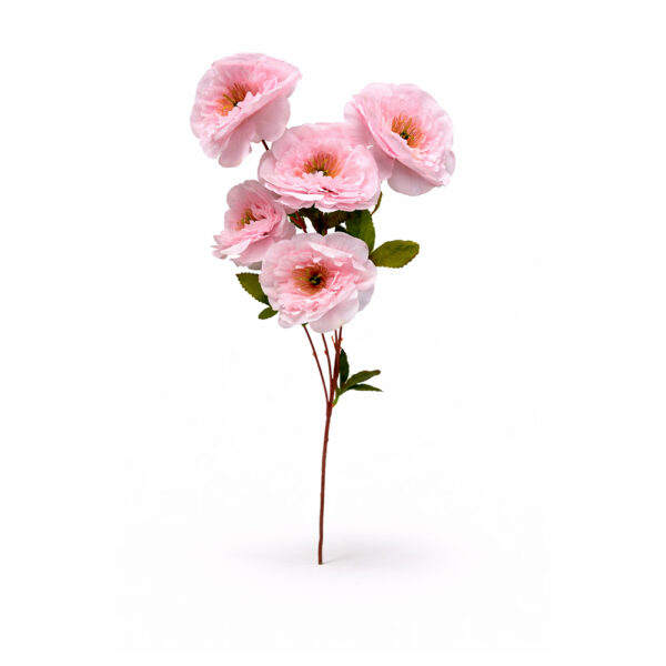 Κλαδί Παιώνια Ροζ 5 Κεφάλια