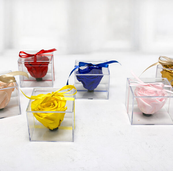 Κουτί Ακρυλικό με Τριαντάφυλλο