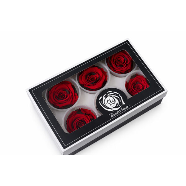 Τριαντάφυλλα Forever Roses Δίχρωμο Μαύρο-Κόκκινο L Plus 6 box