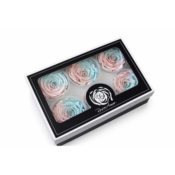 Τριαντάφυλλα Forever Roses Δίχρωμο Ροζ-Γαλάζιο L Plus 6 box