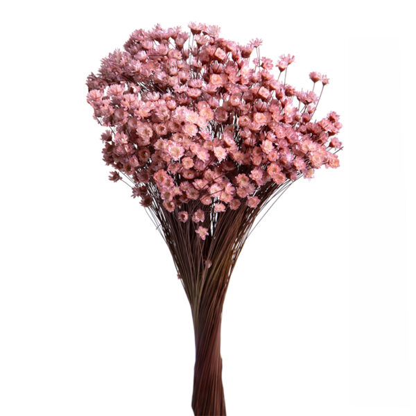 Glixia Ανοιχτό Ροζ