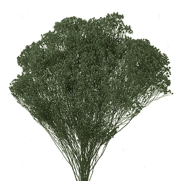 Broom Bloom Σκούρο Πράσινο