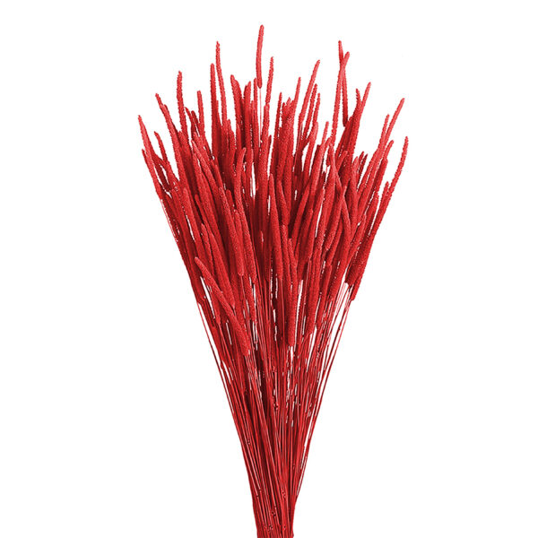 Phleum Πυραυλάκι Αποξηραμένο Ρουμπίνι